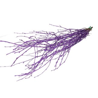 4A Dried Birch Branches | Colour: Purple | Dried decoration | Length ± 70 centimetre | Per 10 branches
