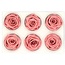 Gepreserveerde Roos | Kleur: Oudroze | Diameter 6 centimeter | Per 6 rozen