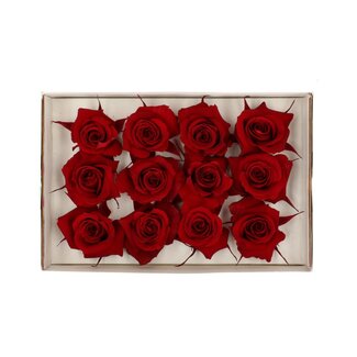 4A Gepreserveerde Rozen | Kleur: Rood | Diameter 4 centimeter | Per 12 rozen