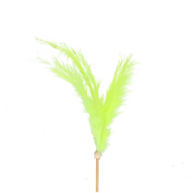 Feathers on stick | Colour: Green | Feather pick | Feather length 14 centimeter | Pick length ± 50 centimeter | Per 25 picks