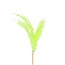 Feathers on stick | Colour: Green | Feather pick | Feather length 14 centimeter | Pick length ± 50 centimeter | Per 25 picks