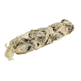 4A Oyster Talaba Coquilles | Couleur: Crème | Par 450 gram coquilles