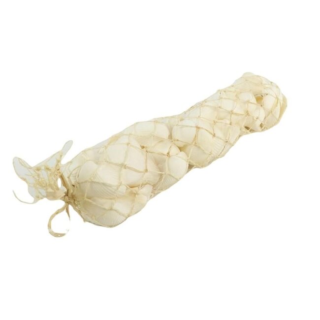 Cockles Arca Schelpen | Kleur: Natuurlijk Wit | Inhoud 750 gram | Per zak