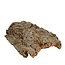 Dried Cork Sheet | Colour: Light brown | Dry decoration | Length 26 centimetre | Width 36 centimetre | Per 5 sheets