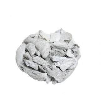 4A Getrocknetes Treibholz | Farbe: Natürlich Weiß | Trocken-Dekoration | Gewicht 300 - 500 gram | Pro Verpackung