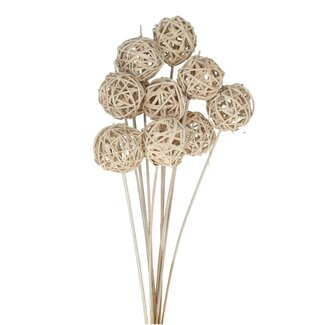 4A Rattan Ball am Stab | Farbe: Natuurlijk Weiß | Brunchball-Stecker | Durchmesser 5 centimeter | Länge ± 50 centimeter | Pro 10 Stecker