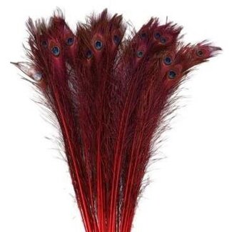 4A Peacock Feathers | Colour: Red | Length 100 centimeter | Per 10 feathers
