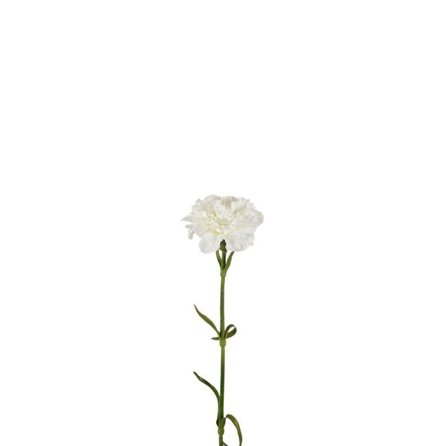 Œillet Fleur artificielle | Couleur: Blanc Naturel | Dianthus Fleurs artificielles | Longueur ± 53 centimeter | Par 6 fleurs artificielles