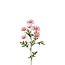 Gänseblümchen Kunstblume | Farbe: Rosa | Bellis Perennis Kunstblumen | Länge ± 70 centimeter | Pro 6 Kunstblumen