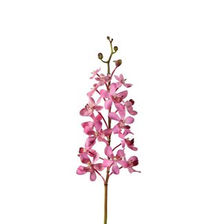 4A Orchidée Fleur artificielle “Vanda” | Couleur: Rose clair | Longueur ± 70 centimeter | Par 4 fleurs artificielles