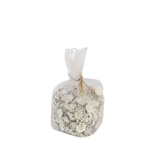 4A Star Limpit Schelpen | Kleur: Grijs | Inhoud 500 gram schelpen | Per zak