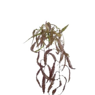 4A Farn Kunstblume | Farbe: Grün | Länge ± 89 centimeter | Pro Kunstblume
