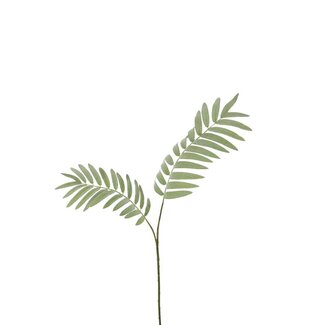 4A Branche artificielle de fougère palmée | Couleur: Vert | Longueur ± 82 centimeter | Par 6 branches artificielles