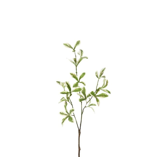 Green Leaf Artificial Branch | Colour: Green | Length ± 80 centimeter | Per 6 artificial branches