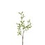 Groen Blad Kunsttak | Kleur: Groen | Lengte ± 80 centimeter | Per 6 kunsttakken