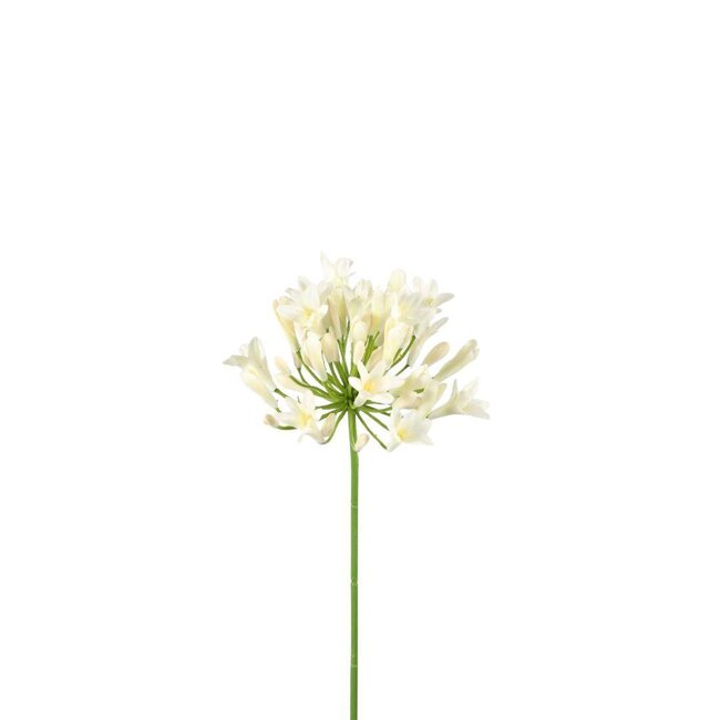 Afrikanische Kap-Lilie Kunstblume | Farbe: Natürlich Weiß | Agapanthus Kunstblumen | Länge ± 75 centimeter | Pro 6 Kunstblumen