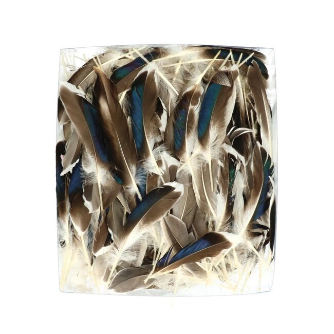 Duck Feathers | Colour: Brown | Weight 45 gram | Per bag feathers