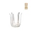 Rapideau Blumenhalter | Farbe: Transparent | Höhe 20 centimeter | Pro 20 rapideaus