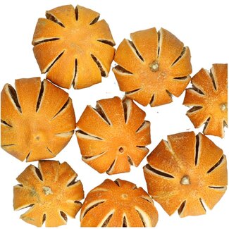 4A Dried fruit Orange | Colour: Orange | Diameter 4 centimetre | Weight 250 gram per bag | Per 5 bags