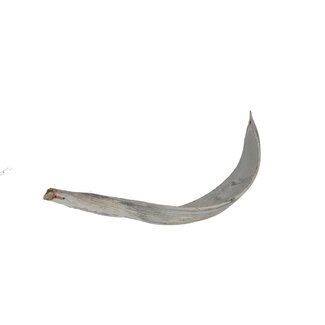 4A Getrocknetes Kokosnussblatt | Farbe: Natürlich Weiß | Trocken-Dekoration | Länge 27 - 40 centimeter | Pro 10 Blätter