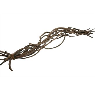 4A Brindilles Crazy Vine séchées | Couleur: Marron | Décoration sèche | Longueur ± 60 centimeter | 10 branches par bouquet | Par bouquet