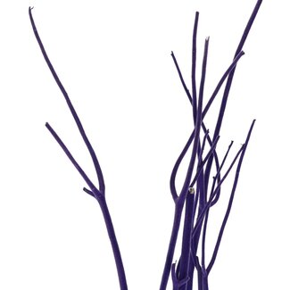 4A Gedroogde Mitsumata vlok Takken | Kleur: Paars | Droogdecoratie | Lengte ± 115 centimeter | 3 takken per bos | Per bos