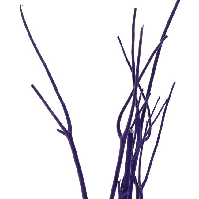 Gedroogde Mitsumata vlok Takken | Kleur: Paars | Droogdecoratie | Lengte ± 115 centimeter | 3 takken per bos | Per bos
