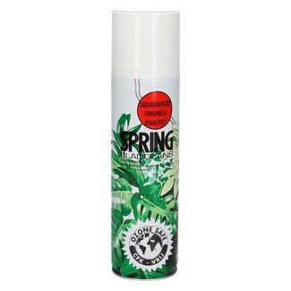 4A Verzorging Spring Bladglans | CFK vrij | Inhoud 250 milliliter | Per spuitbus