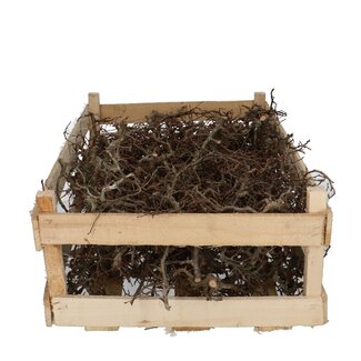 4A Gedroogd Bonsaihout in houten kist | Kleur: Bruin | Lengte 60 centimeter | Breedte 40 centimeter | Per kist