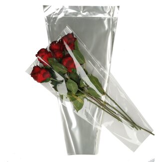 4A Hoezen CPP30 | Kleur: Transparant | Lengte 60 centimeter | Breedte 40 centimeter | Hoogte 15 centimeter | Per 50 hoezen