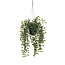 Kunstplanten Hang Ficus d20*46cm