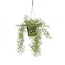 Rhipsalis Plante suspendue Plante artificielle | Couleur: Vert | Diamètre ± 20 centimeter | Hauteur ± 40 centimeter | Par 6 plantes artificielles