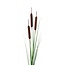 Cattail Artificial Stem | Colour: Brown | Cattail Artificial Stem | Length ± 119 centimetre | Per 6 artificial stems