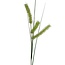 Sedge Grass Artificial Stem | Colour: Green | Carex Long Spiculate | Length ± 132 centimeter | Per 6 artificial stems