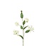 Gloriosa Kunstblume | Farbe: Natürlich Weiß | Prachtlilie Kunstblumen | Länge ± 86 centimeter | Pro 4 Kunstblumen