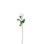 Rose Kunstblume | Farbe: cremefarben | Rosen Kunstblumen | Länge ± 69 centimeter | Pro 12 Kunstblumen