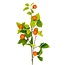 Branche d'orange Branche artificielle | Couleur: Orange | Longueur ± 89 centimeter | Par branche artificielle