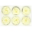 Preserved Rose | Colour: Cream-coloured | Diameter 6 centimetre | Per 6 roses