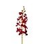 Orchid Artificial Flower “Vanda” | Colour: Dark red | Length ± 70 centimetre | Per 4 artificial flowers