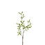 Green Leaf Artificial Branch | Colour: Green | Length ± 80 centimeter | Per 6 artificial branches