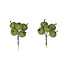Apple Support Stake | Colour: Frosted Apple Green | Diameter 3 centimetre | Per 20 support stakes