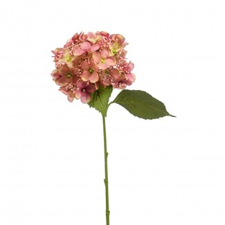 4A Hortensia Kunstbloem | Kleur: Oudroze | Hydrangea Kunstbloemen | Lengte ± 50 centimeter | Per 4 kunstbloemen