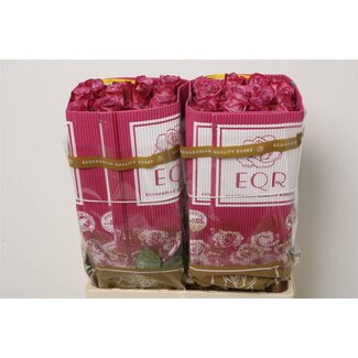 Freshy R Eq Moody Blues