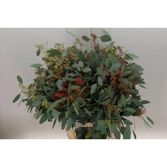 Freshy Eucalyptus Populus Bes 300gr (p. bos)