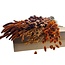 Dried flowers DIY  set “Dutch Dried” | Colour: Orange | Length ± 65 centimetre | Per 5 bunches