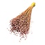 Getrocknetes Lino-Flachs | Farbe: Gefrostetes Rosa | Linum Trockenblumen | Länge ± 55 centimeter | Gewicht 150 gram | Pro Bund