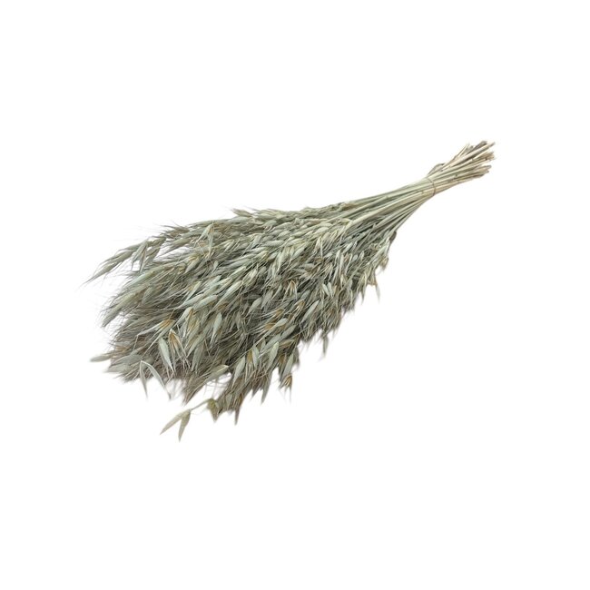 Avena Salvaje | Natural | 200 gr | 70 cm