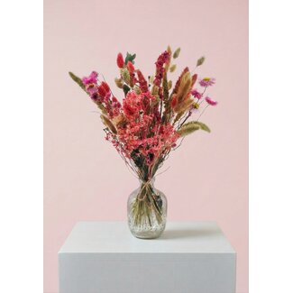 MyFlowers Bouquet Dried flowers "Cute Pink" | Colour: Mixed Colours | Length ± 50 centimetre | Per bouquet