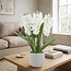 Hyacinth Artificial flower in cement pot | Colour: Natural White | Length ± 40 centimetre | 3 hyacinths per pot | Per pot