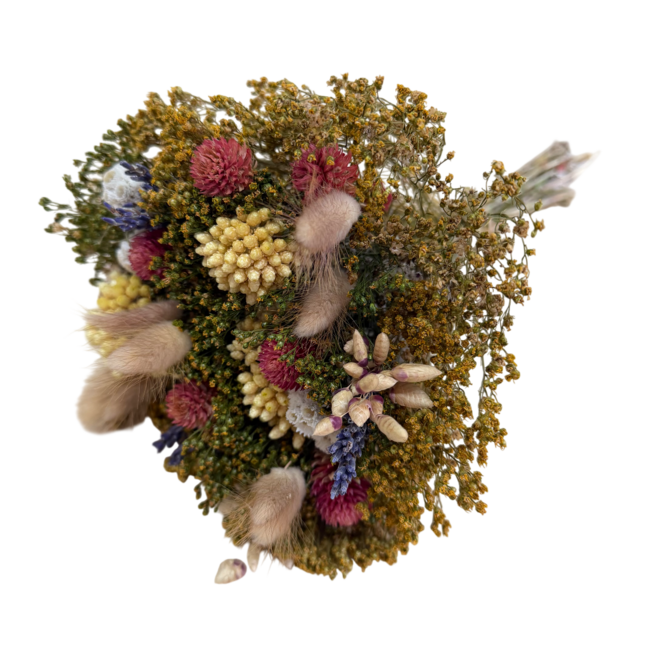 Bouquet de fleurs séchées Fantasy Natural | Longueur ± 35 centimètres | Avec fleurs séchées naturelles